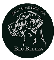 Deutsche Doggen vom Blu Beleza